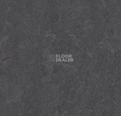 Линолеум Forbo Marmoleum Decibel on Order 387235 volcanic ash фото 1 | FLOORDEALER